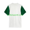 Maillot de Foot Palmeiras Exterieur 2025